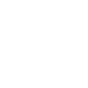 Meyer logo