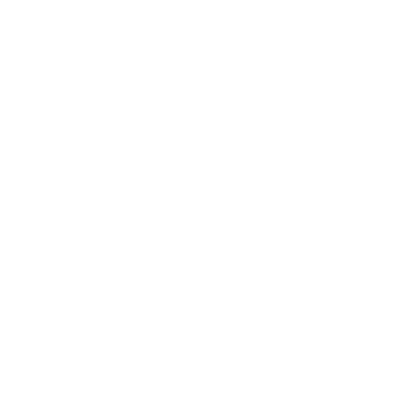 Void logo