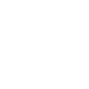 Martin logo
