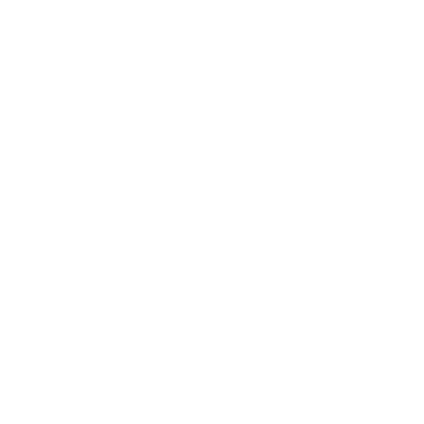 Martin logo