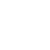Pioneer logo